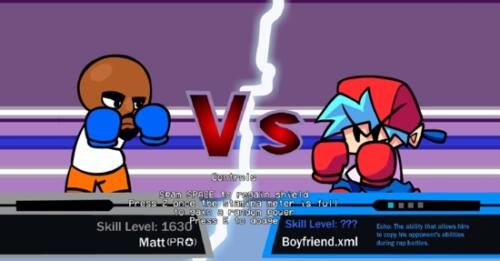 VS Matt Boixing Fight